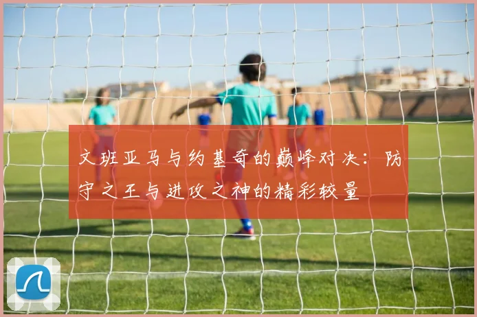 文班亚马与约基奇的巅峰对决：防守之王与进攻之神的精彩较量